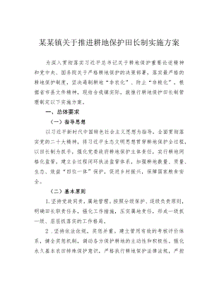 某某镇关于推进耕地保护田长制实施方案.docx