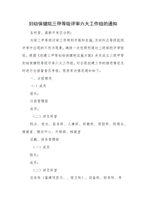 妇幼保健院三甲等级评审六大工作组的通知.docx