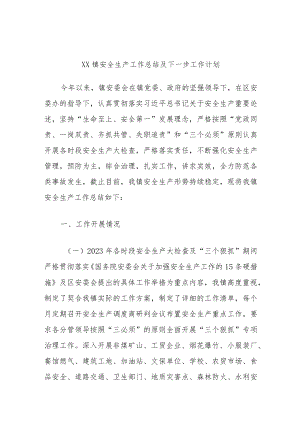 XX镇安全生产工作总结及下一步工作计划.docx