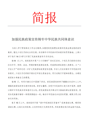 开展少先队民族政策宣传月系列活动简报.docx