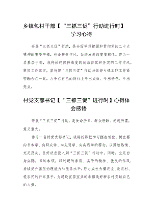 乡镇包村干部【“三抓三促”行动进行时】学习心得(精选3篇).docx