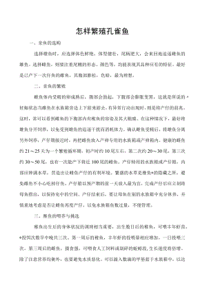 怎样繁殖孔雀鱼.docx