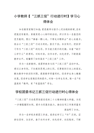 小学教师【“三抓三促”行动进行时】学习心得体会精选范文(3篇).docx