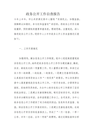 政务公开工作自查报告.docx