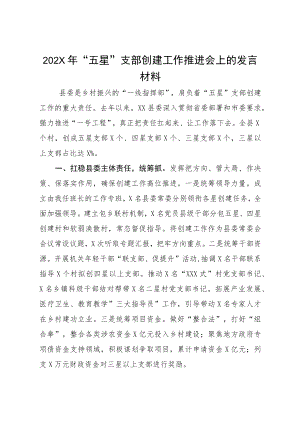 202X年“五星”支部创建工作推进会上的发言材料.docx