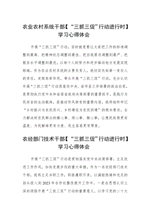 农业农村系统干部【“三抓三促”行动进行时】学习心得体会精选范文(3篇).docx