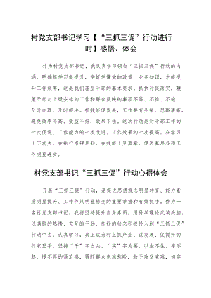 村党支部书记学习【“三抓三促”行动进行时】感悟体会精选范文(三篇).docx