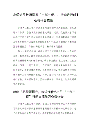 小学党员教师学习【“三抓三促”行动进行时】心得体会感悟精选范文(3篇).docx