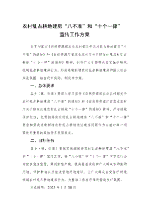 农村乱占耕地建房“八不准”和“十个一律”宣传工作方案.docx