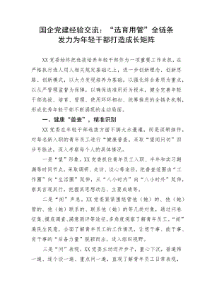 【国资国企】国企党建经验交流：“选育用管”全链条发力为年轻干部打造成长矩阵.docx