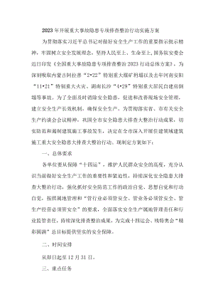2023年水上交通开展重大事故隐患专项排查整治行动工作实施方案 （合计4份）.docx