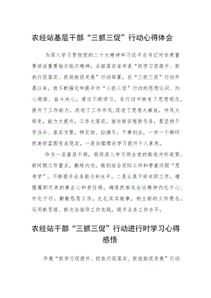 农经站基层干部“三抓三促”行动心得体会精选范文(3篇).docx