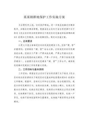 某某镇耕地保护工作实施方案.docx