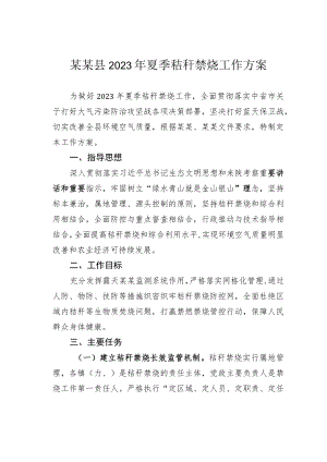 某某县2023年夏季秸秆禁烧工作方案.docx