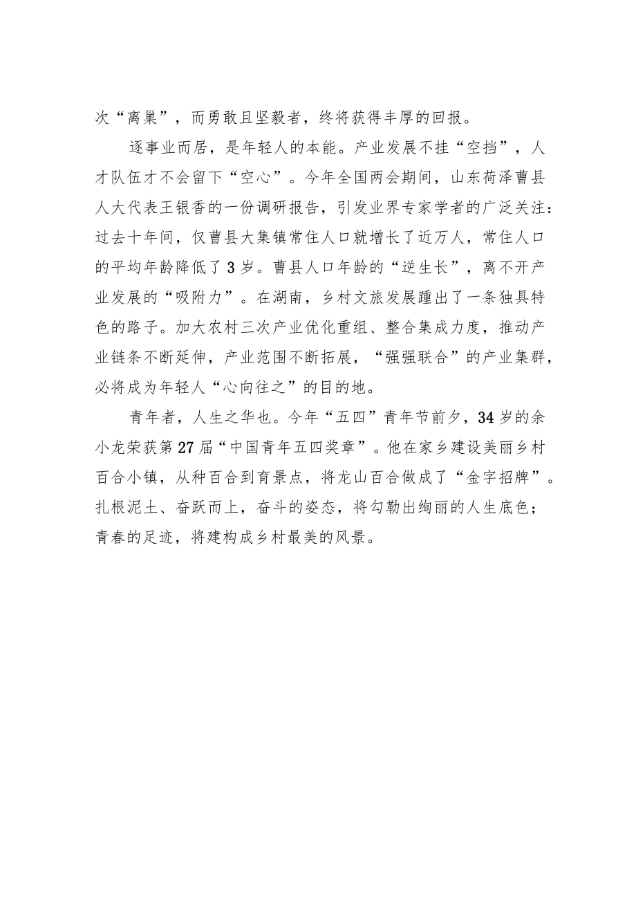 【中心组研讨发言】在乡村振兴的大舞台上建功立业.docx_第2页