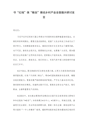 守“红线”保“粮安”推动乡村产业全面振兴研讨发言.docx