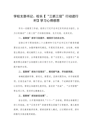 学校支部书记、校长【“三抓三促”行动进行时】学习心得感想精选范文(3篇).docx