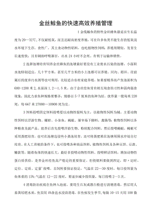 金丝鲶鱼的快速高效养殖管理.docx