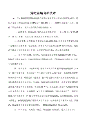 泥鳅苗培育新技术.docx