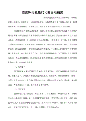 泰国笋壳鱼集约化的养殖精要.docx