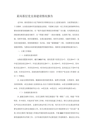 某局基层党支部建设情况报告.docx