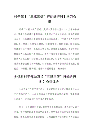 村干部【“三抓三促”行动进行时】学习心得(精选3篇).docx