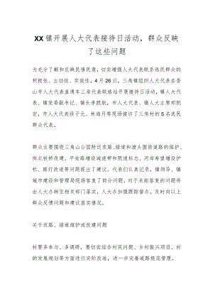 XX镇开展人大代表接待日活动群众反映了这些问题.docx