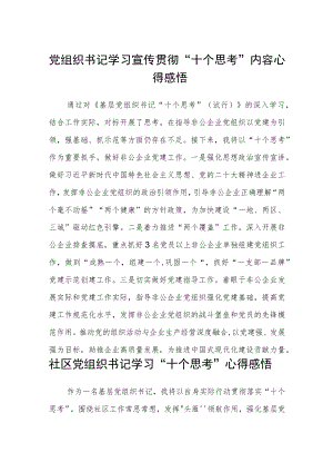 党组织书记学习宣传贯彻“十个思考”内容心得感悟范文通用【三篇】.docx