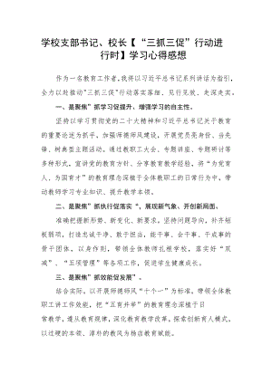学校支部书记、校长【“三抓三促”行动进行时】学习心得感想精选范文(三篇).docx