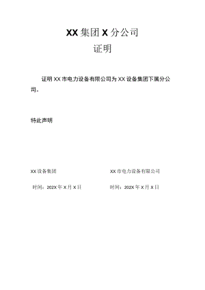 XX集团X分公司证明.docx