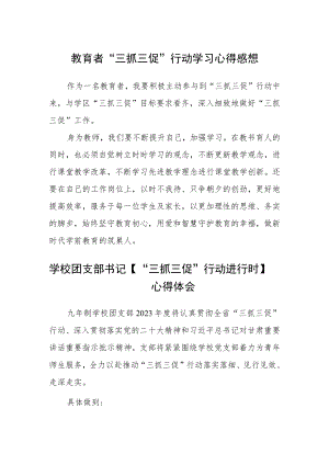 教育者“三抓三促”行动学习心得感想精选范文(三篇).docx
