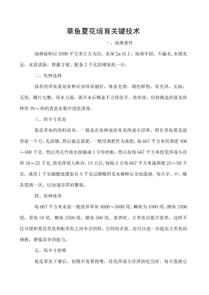草鱼夏花培育关键技术.docx