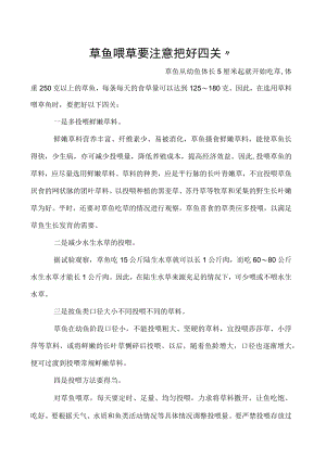 草鱼喂草要注意把好四关”.docx