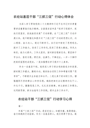 农经站基层干部“三抓三促”行动心得体会精选范文(三篇).docx