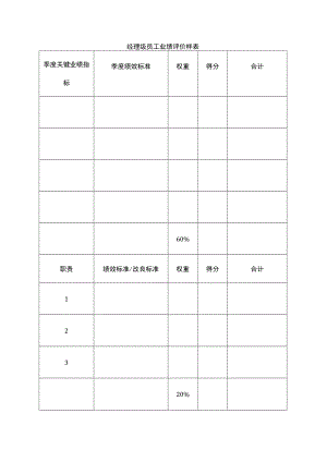 经理级员工业绩评价样表.docx