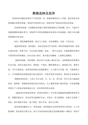 黄鳝选种及放养.docx