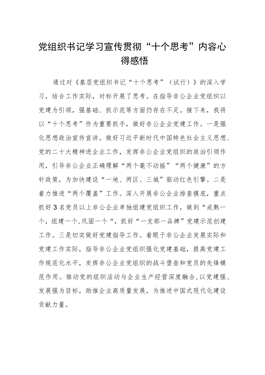 党组织书记学习宣传贯彻“十个思考”内容心得感悟汇编三篇.docx_第1页