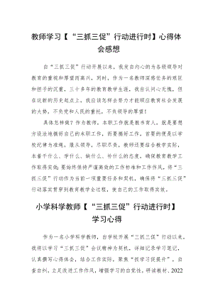 教师学习【“三抓三促”行动进行时】心得体会感想精选范文(3篇).docx