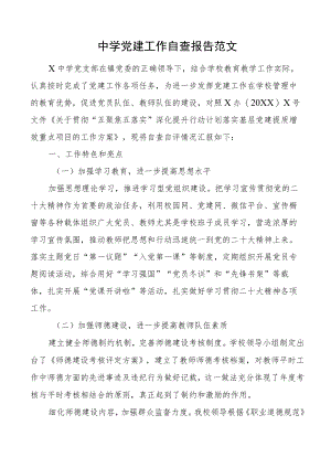 中学党建工作自查报告学校汇报总结.docx