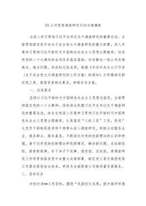 XX公司党委调查研究行动方案模板.docx