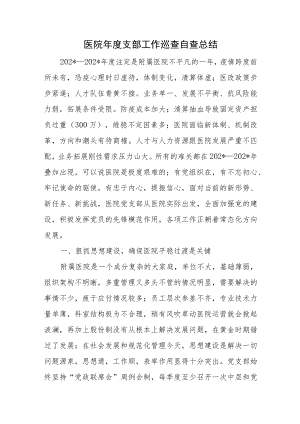医院年度支部工作巡查自查总结.docx