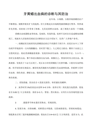 牙黄鳝出血病的诊断与其防治.docx