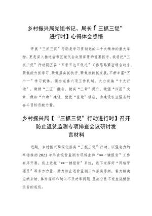 乡村振兴局党组书记、局长【“三抓三促”进行时】心得体会感悟精选范文(3篇).docx