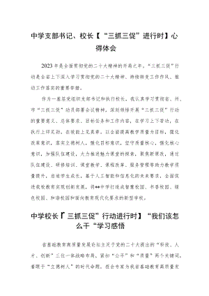 中学支部书记、校长【“三抓三促”进行时】心得体会精选范文(三篇).docx