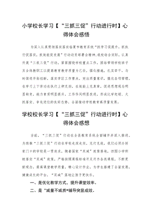 小学校长学习【“三抓三促”行动进行时】心得体会感悟精选范文(3篇).docx