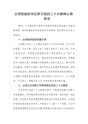 公司党组织书记学习党的二十大精神心得体会.docx