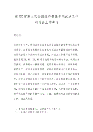 在XX省第五次全国经济普查专项试点工作动员会上的讲话.docx