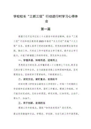 学校校长“三抓三促”行动进行时学习心得体会五篇.docx