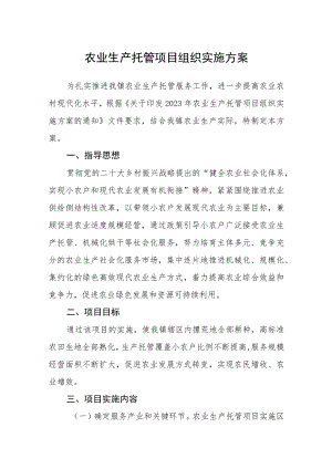 农业生产托管项目组织实施方案.docx