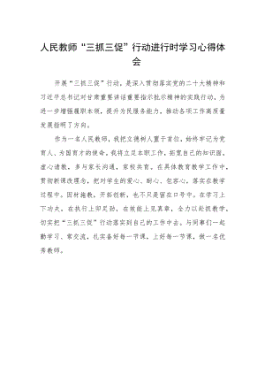人民教师“三抓三促”行动进行时学习心得体会.docx